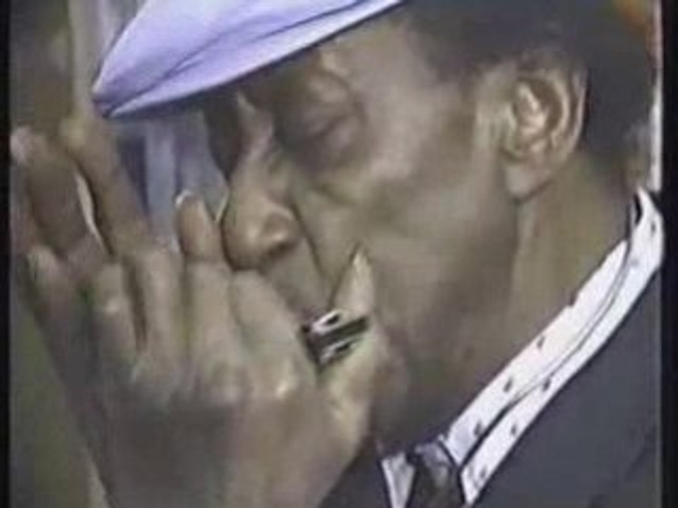 DR. ROSS - Harmonica performance 1993