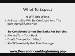 How To Get Your Dog To Stop Barking