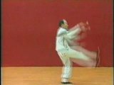 Forme Taiji avec sabre par Me Deng Shi Hai