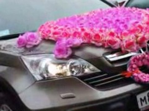 Свадебный ролик. Дмитрий и Лидия