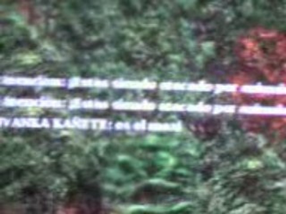 IVANKA KANIETE VS JUNIOR LAUTARO rVs AGE OF EMPIRES 2