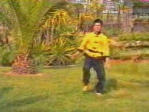 Kung-Fu Wutao Hoang Nghi