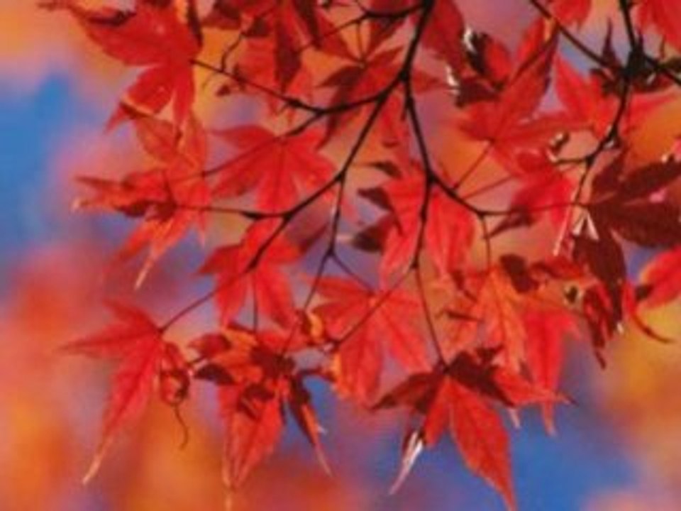 Ismet Yılmaz_Gıder