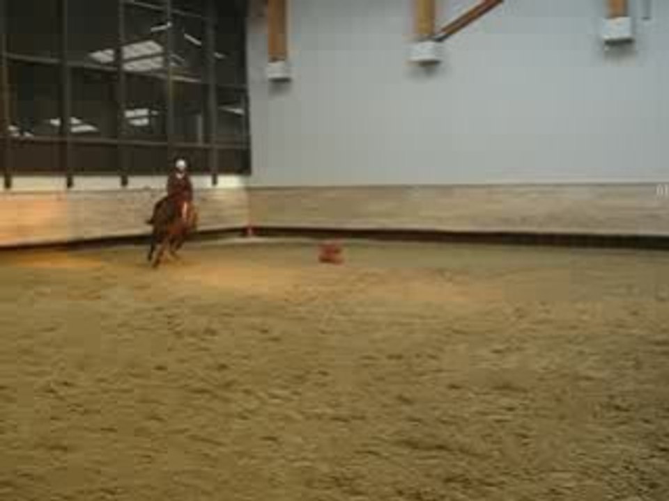 Decembre 2008 093
