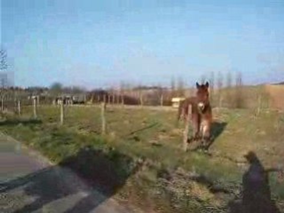 Départ en balade...