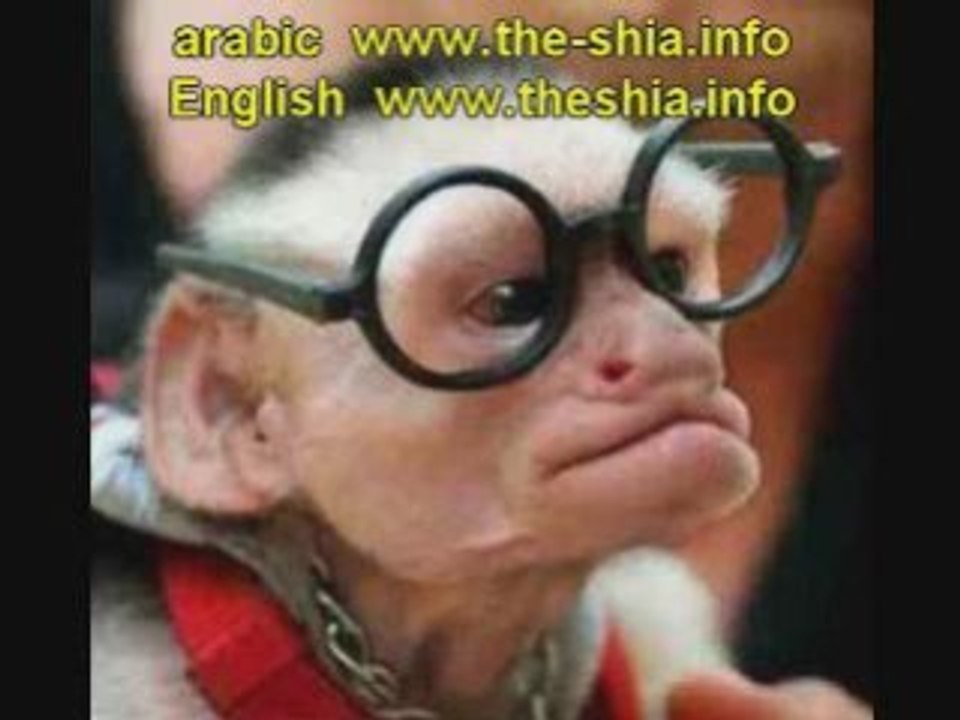 اسمع شرك الشيعه ٦