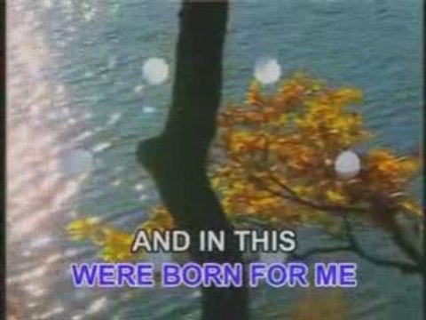 Videoke - Born For You - David Pomeranz