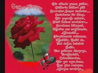 Kadehler aglasın benim yerime