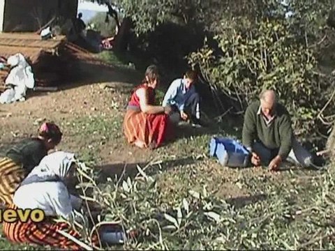 2009-2959-Bonne annee-Asegas amegaz