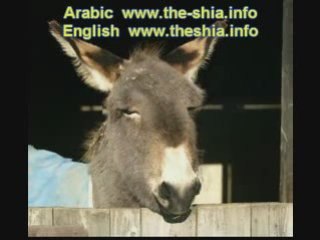 خطاب السيد حسن نصر الآت و المتعه