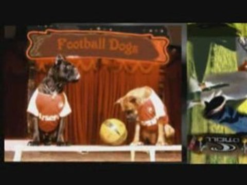 Events agency, Talents & Productions