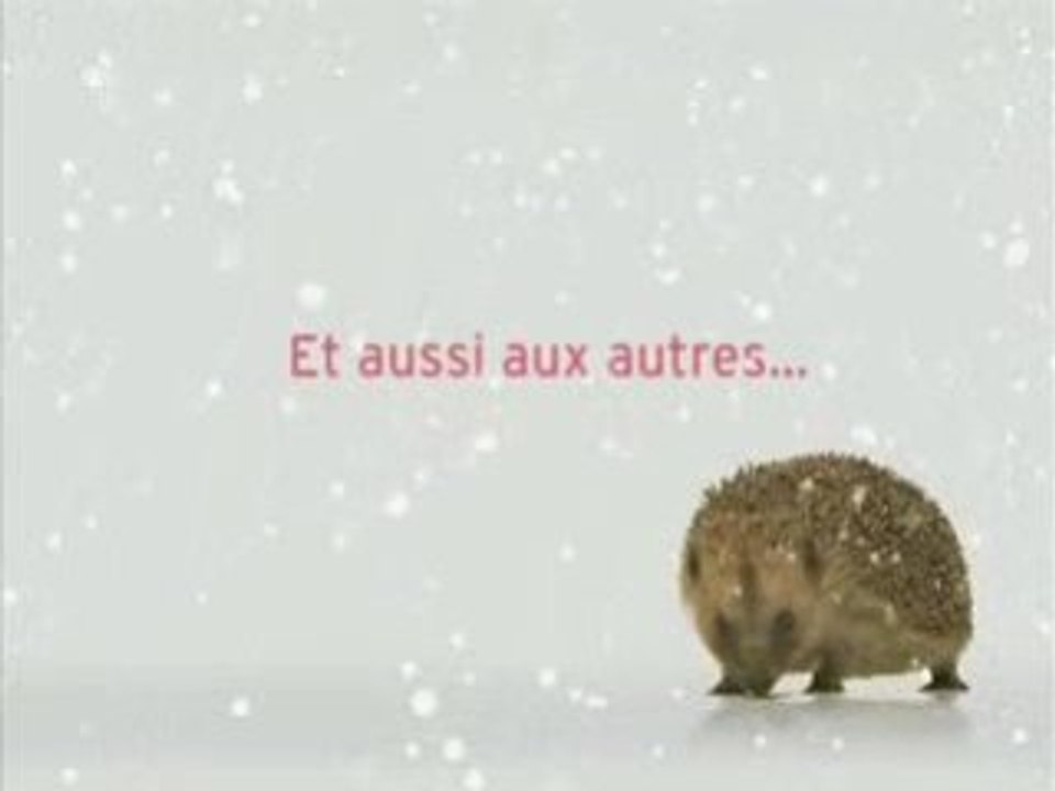 Voeux09