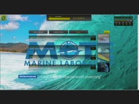 environmentally friendly green cleaning products