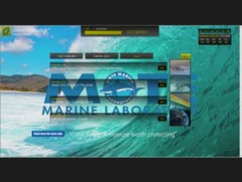 environmentally friendly green cleaning products