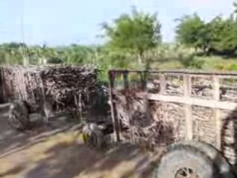 Tracteur avec 7 remorques