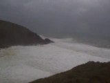 Plouzané , dalbosc tempête 2007 120kmh