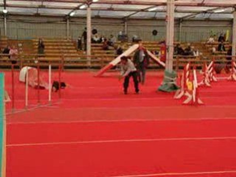 Avignon Open Asian