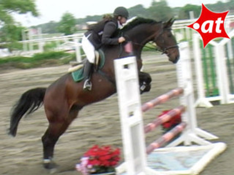 Amelie Menhofer, Springreiten, Kottingbrunn (2008-059)