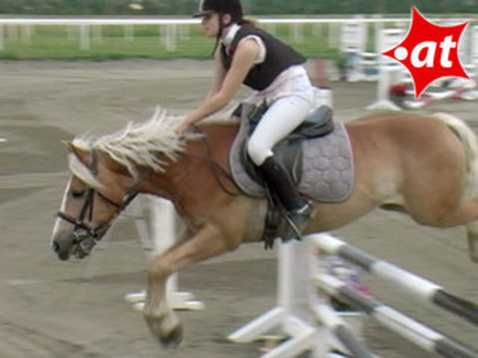 Dana Simon, Springreiten, Kottingbrunn (2008-060)