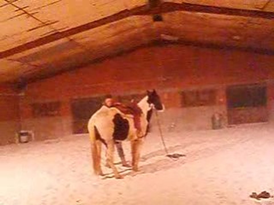 On met la selle =)