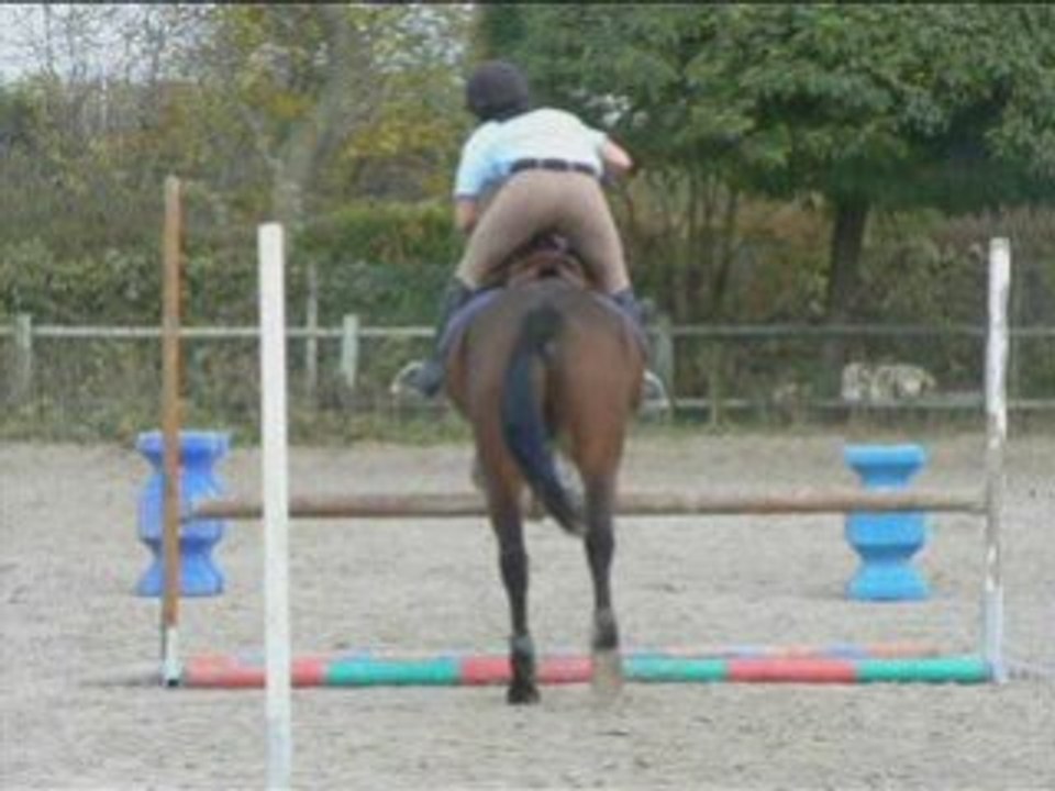 Année 2008 équitation