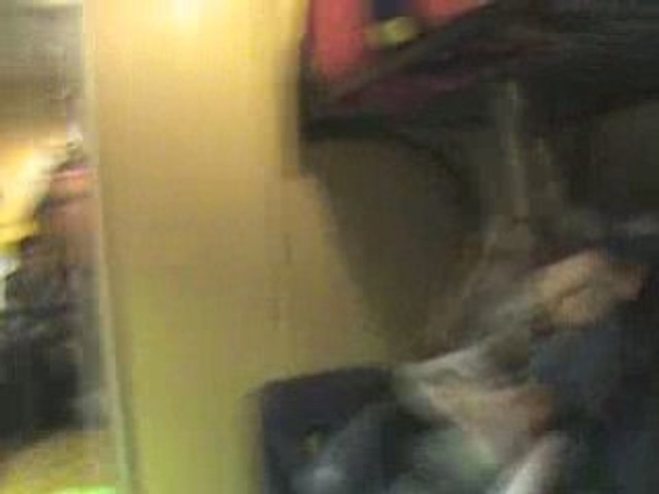 Hump (15)