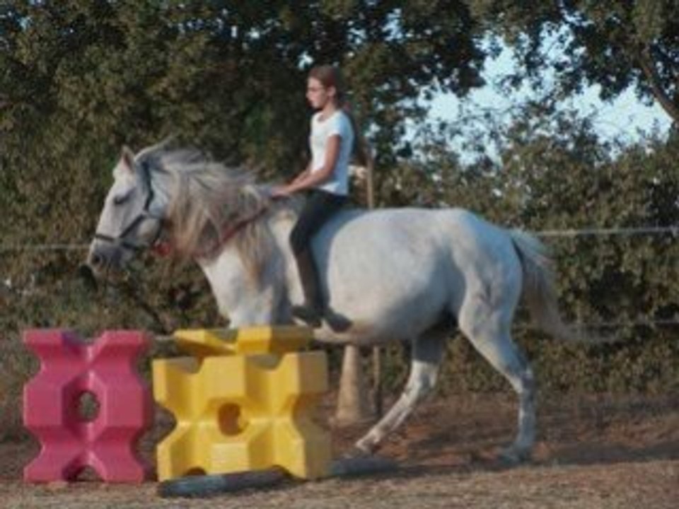 Mayaa