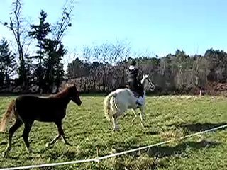Iroise au galop et Ushu qui suit