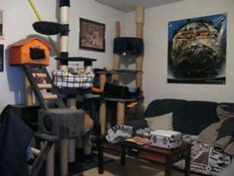 blade mcx VS blade mcx :)