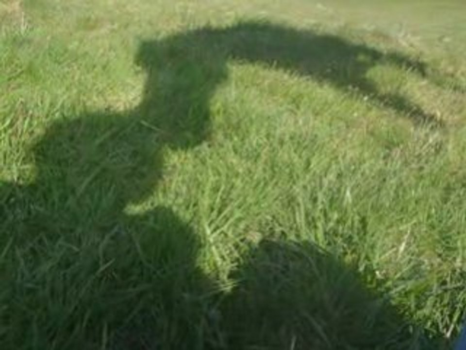 Bilan 2008
