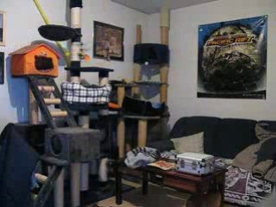 blade mcx VS blade mcx :)