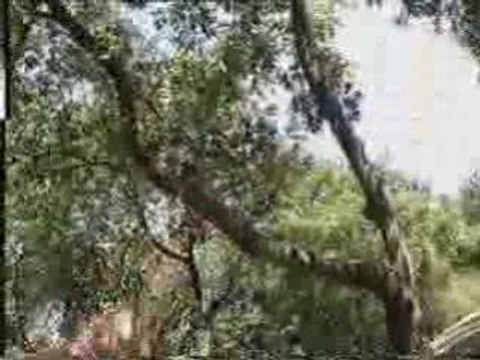 David Belle Parcours Yamakasi parkour