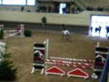 Concours à Faulx-les-tombes avec Mouchou en 85cm