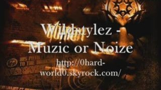 Wildstylez - Muzic or Noize