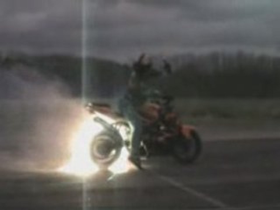 in stunt we trust