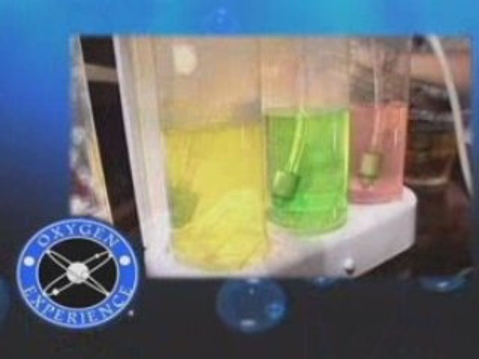 www.oxygenexperience.com on MTV