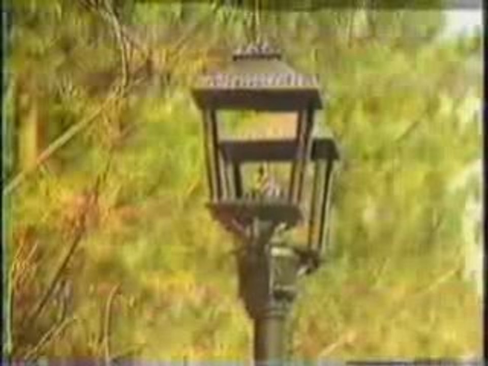 Tanda 81 de mm200tv (Tanda 4)