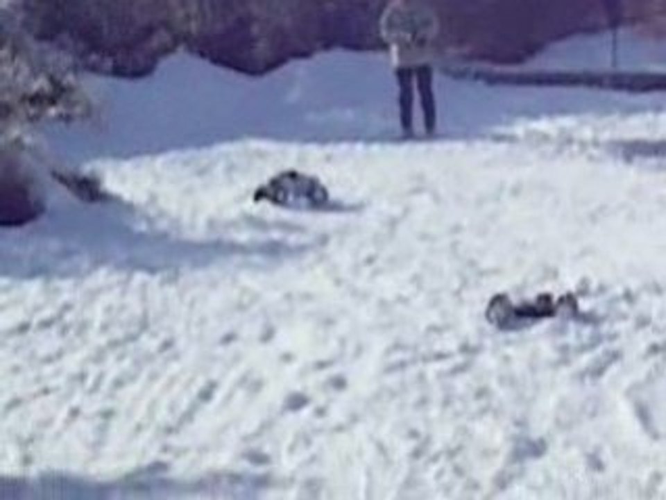 savage 3.5 dans la neige!!!