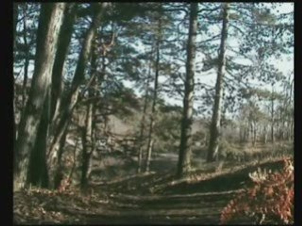 2008 : VTT's Highlights