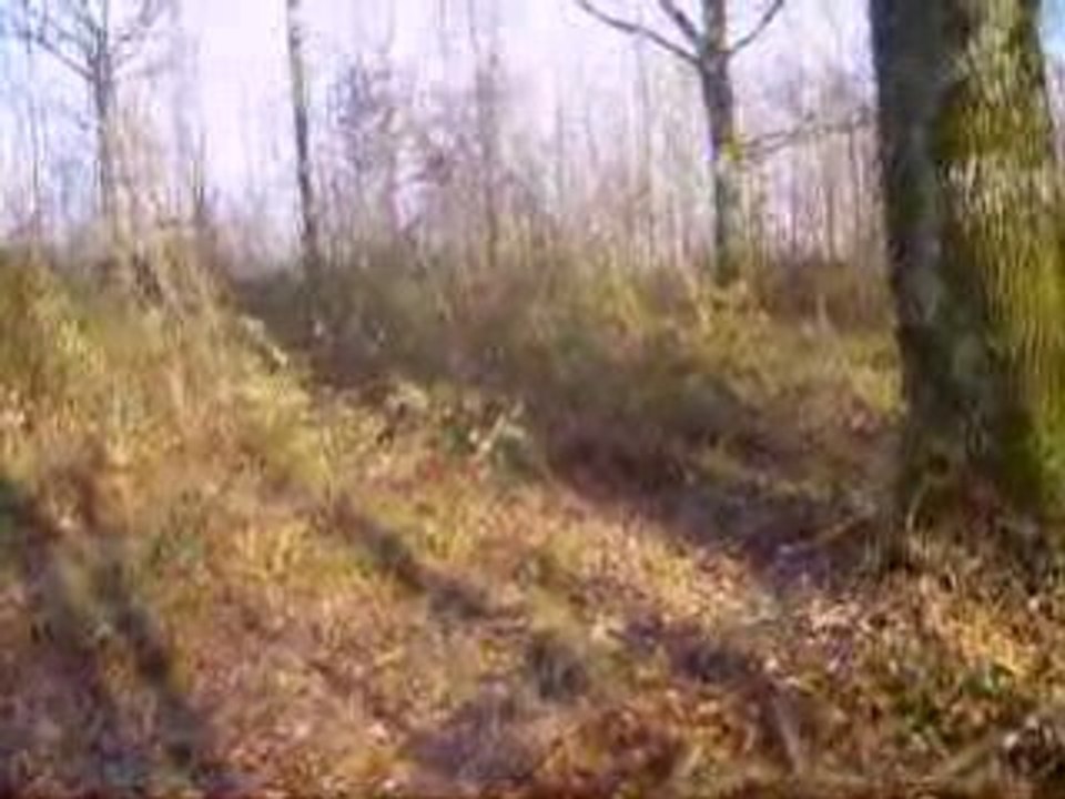 le jour J de la chasse