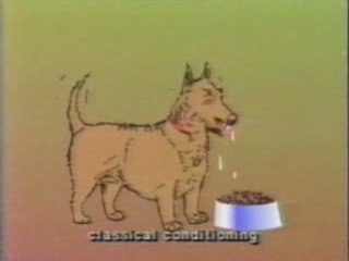 Pavlov: Condicionamiento clasico