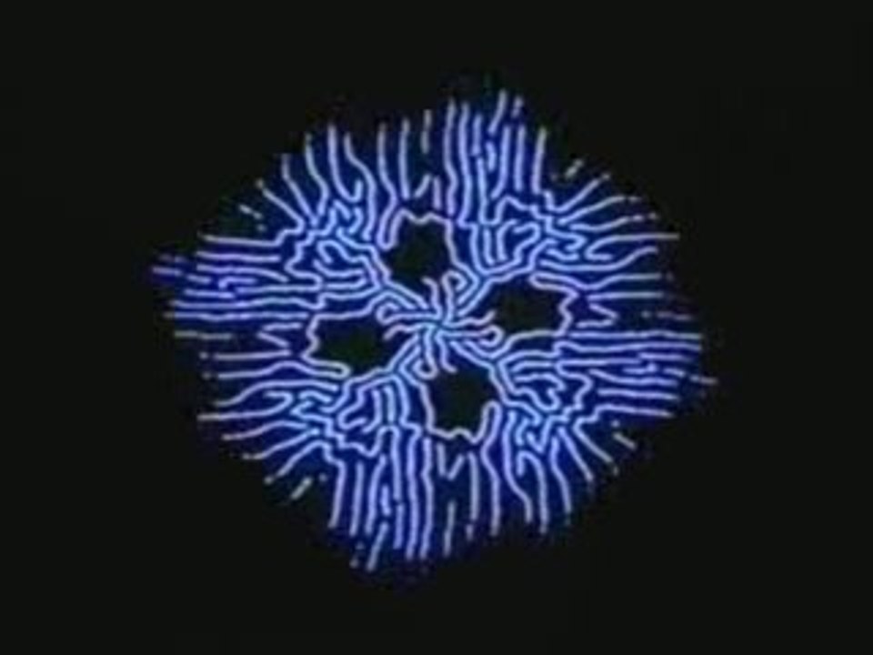 fractale