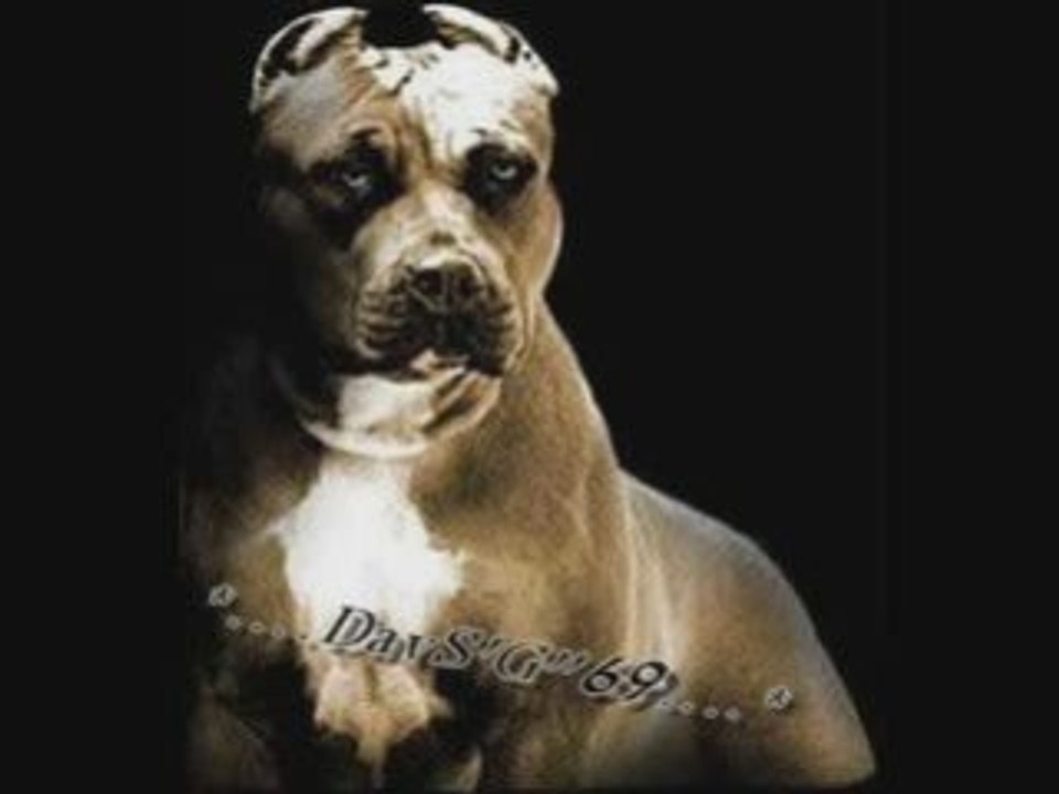 Funk Mix Vieux Dossier