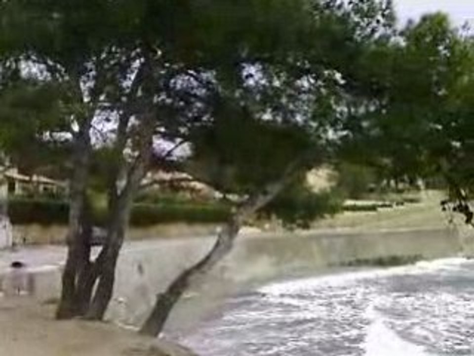 Ch@movie*matin au bord de la mer