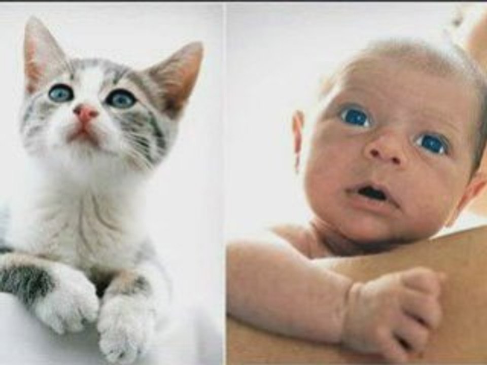 Similitudes