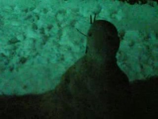 Drôle de bonhomme !