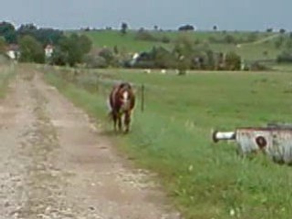 V051008_15.40