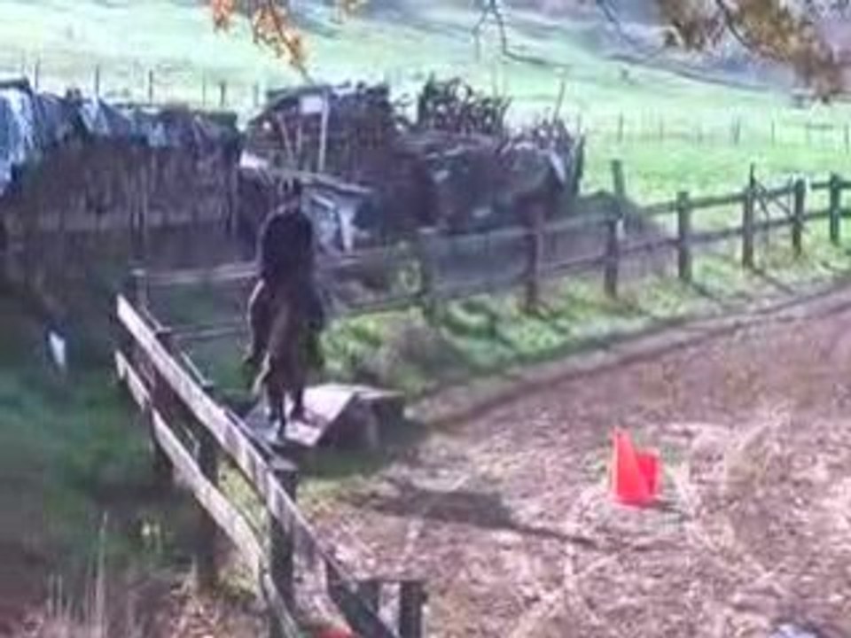 maniabilité en cordelette