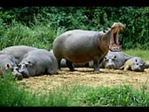 The Truth About MKP: MEN SPEAK OUT!