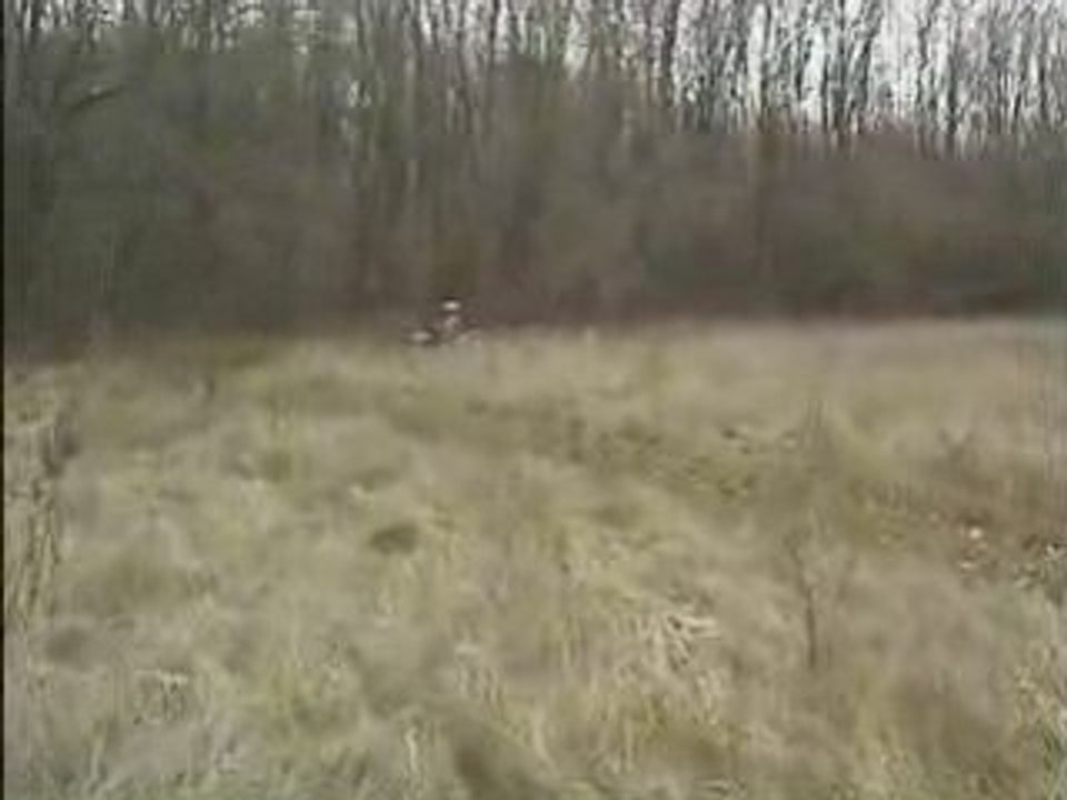 CLEMENT VASSELET 125 KX